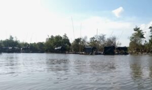 IMG-20250922-WA0001(1)
