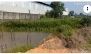 Screenshot_20260221-120611_1