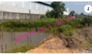 Screenshot_20260221-120611_2